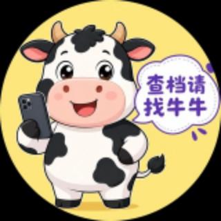 牛牛/案例频道