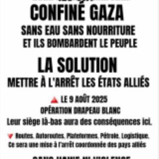 Actions Gaza 26