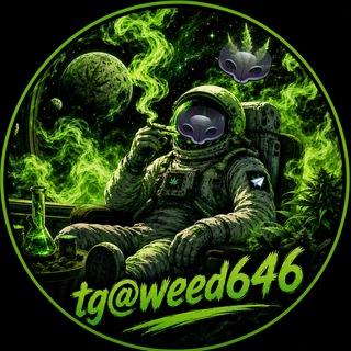 🚀tg搜@weed646🚀亞洲最大Tg大麻420集中地(台灣中國大陸香港)Telegram