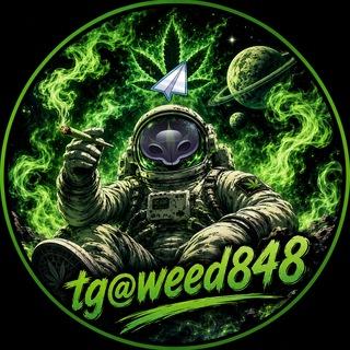 🚀tg搜@weed848🚀亞洲最大Tg大麻420集中地(台灣中國大陸香港)Telegram
