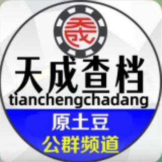 天成查档官方频道