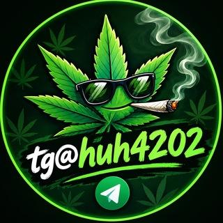 tg@huh4202🚀亞洲最大420大麻煩🌿交流telegram(tg)地下商品頻道