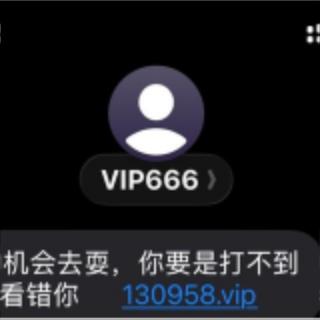 【源头】国际通道发内地-VIP888