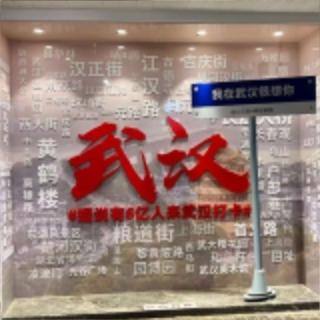 🌸楼 武汉茶楼 武汉外围