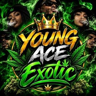 Young Ace Exotic 🌱