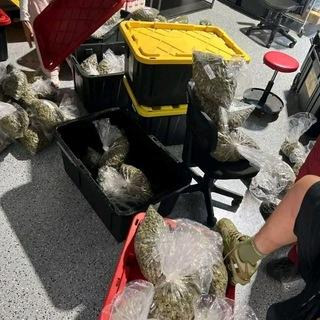 AMAZING PACKS🔥💨☘️🍁❄️🥦🔫💊💉⛽️